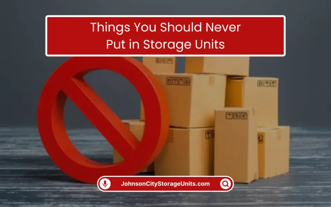 Things You Should Never Put in Storage Units (2025)