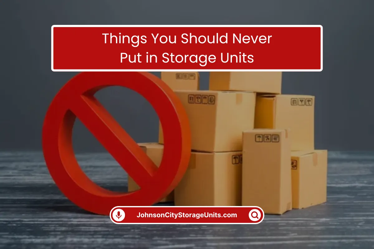 Things You Should Never Store in Storage Units