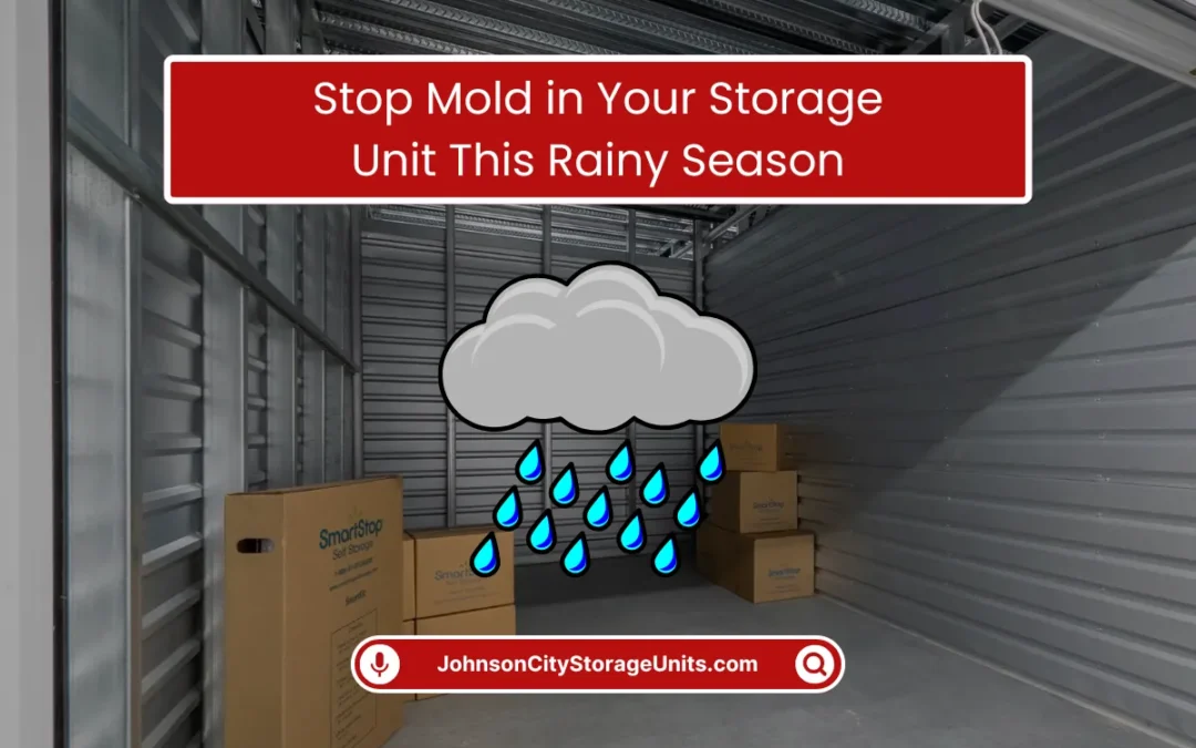 Stop Mold in Your Storage Unit This Rainy Season (2025)