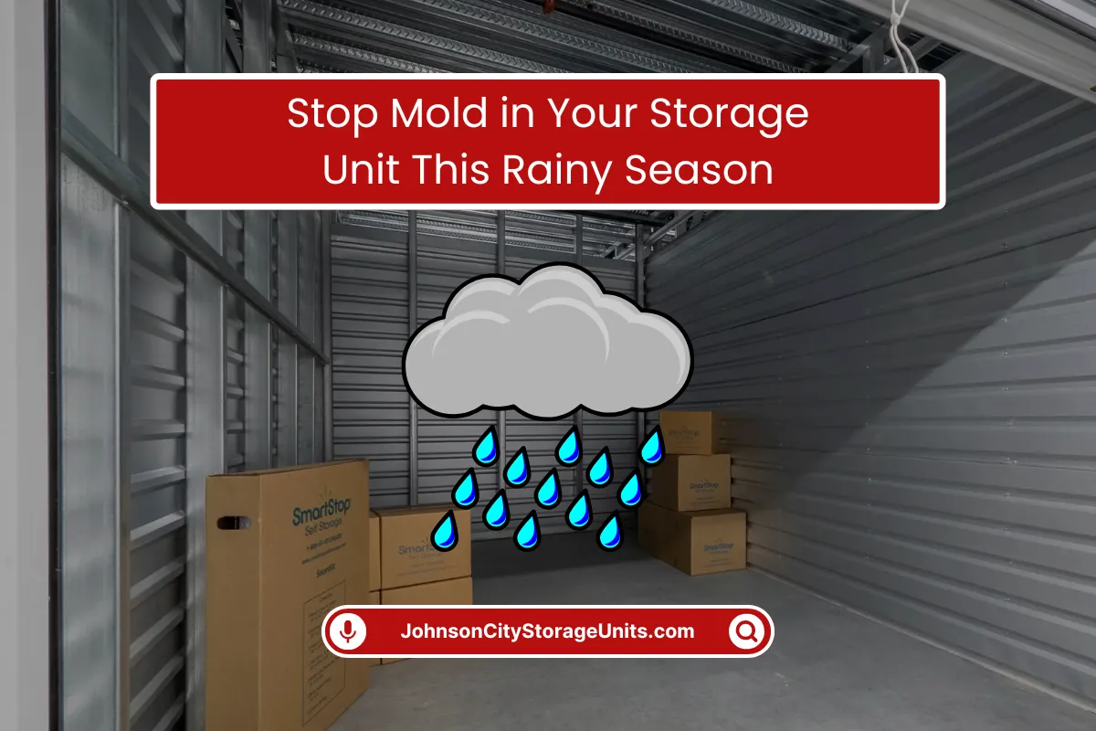 Stop Mold in Your Storage Unit in Rainy Season