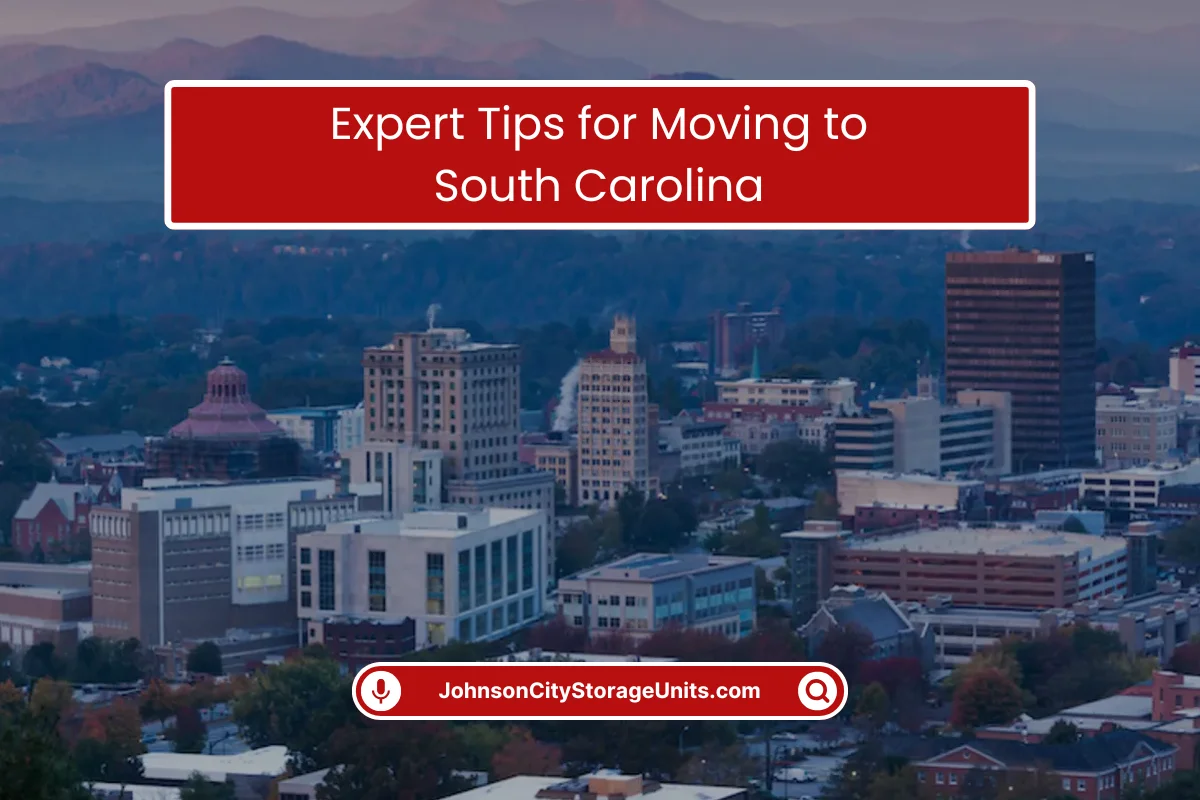 How to Adjust to South Carolina Life as a Newcomer